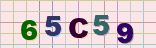 This is a captcha-picture. It is used to prevent mass-access by robots. (see: www.captcha.net)